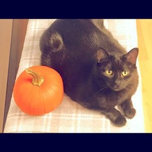 Meet your Posher, Marita